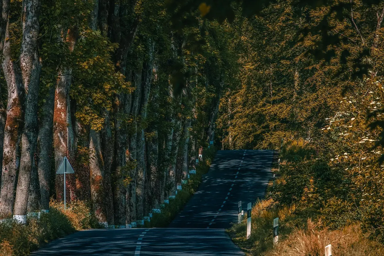 6 færdselsregler i Luxembourg du skal kende