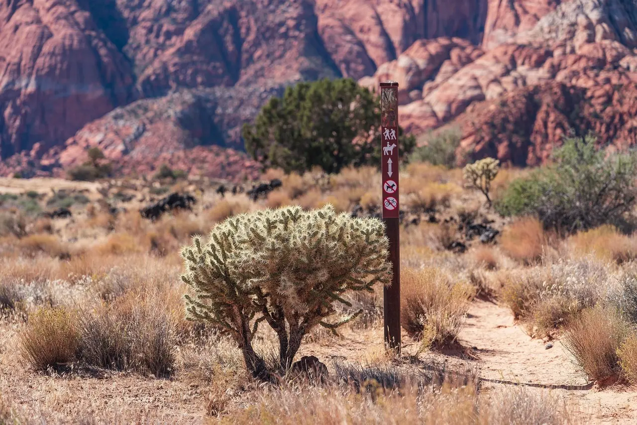 8 højdepunkter på RedRock MTB-sporet ved Ellergronn