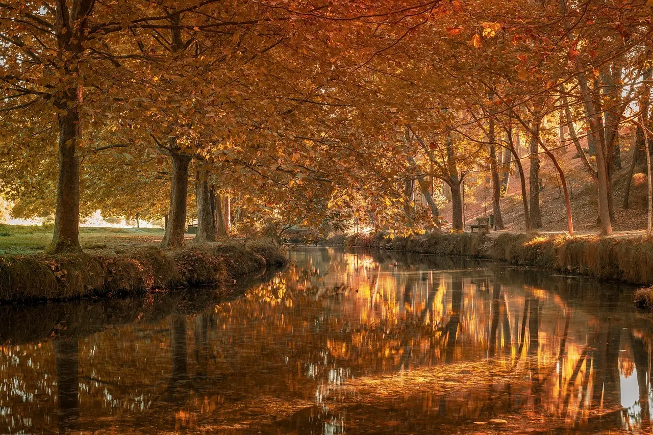 De 8 smukke rundture ved Lac de la Haute-Sûre