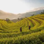 Rygeregler i Luxembourg: e-cigaretter og udendørsområder